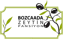 Bozcaada Zeytin Suit Pansiyon